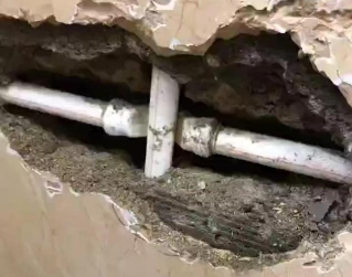 亚东测漏水哪家好