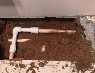 亚东测漏水哪家好