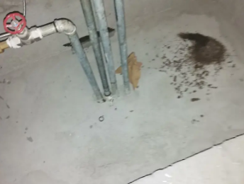 亚东卫生间测漏水价格明细