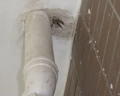 亚东漏水检测哪家好